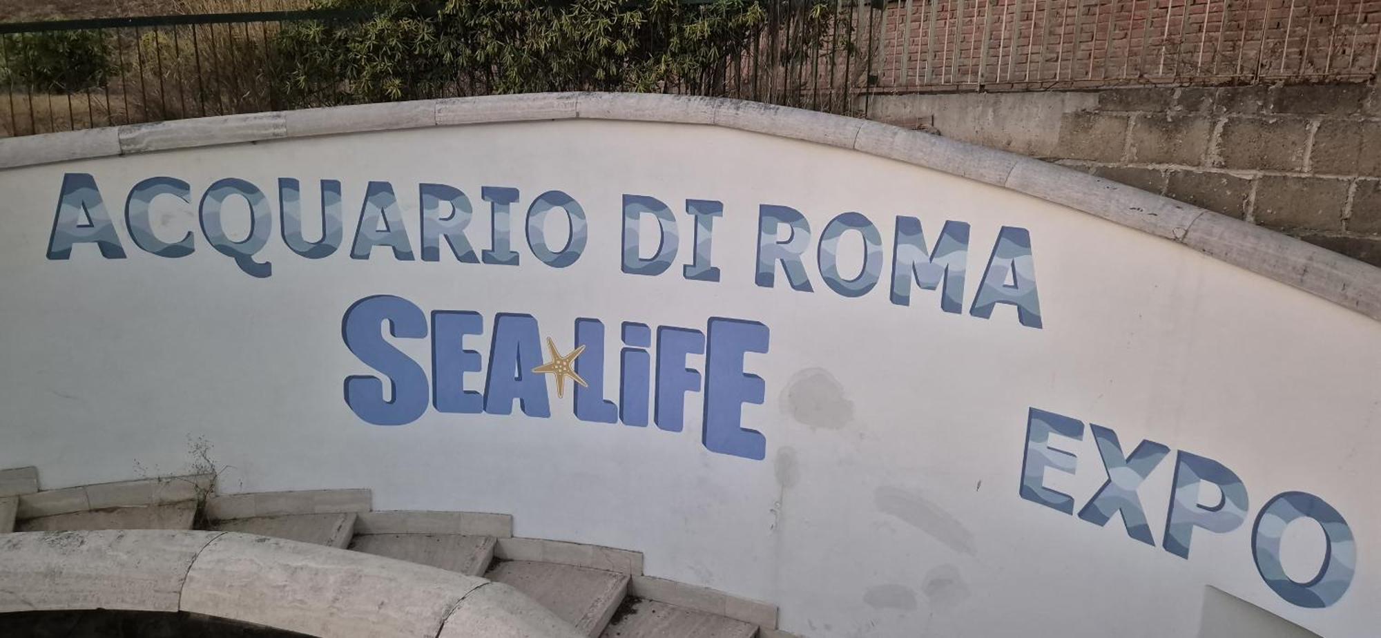Eur Fenix Apartment Free Parking Family Roma Esterno foto